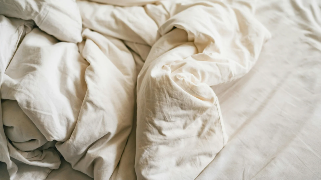 ce-que-detestent-les-punaises-de-lit